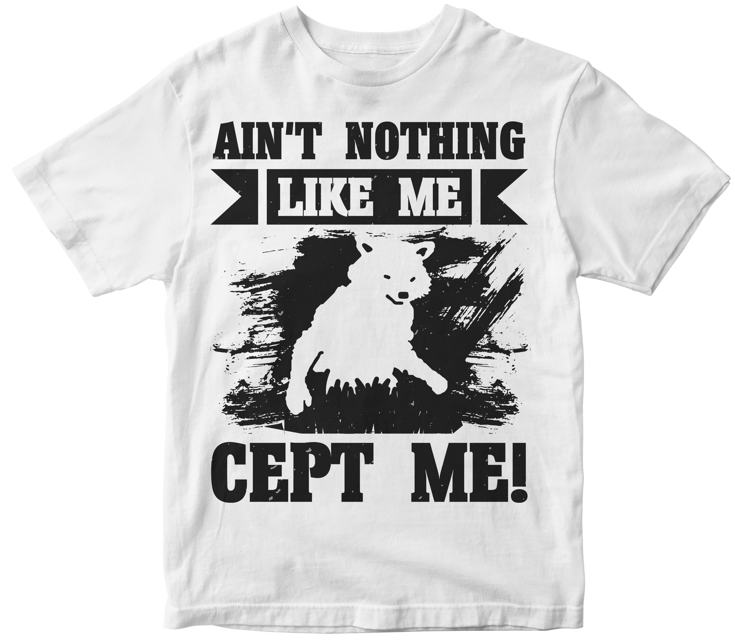 Aint nothing like me cept me!