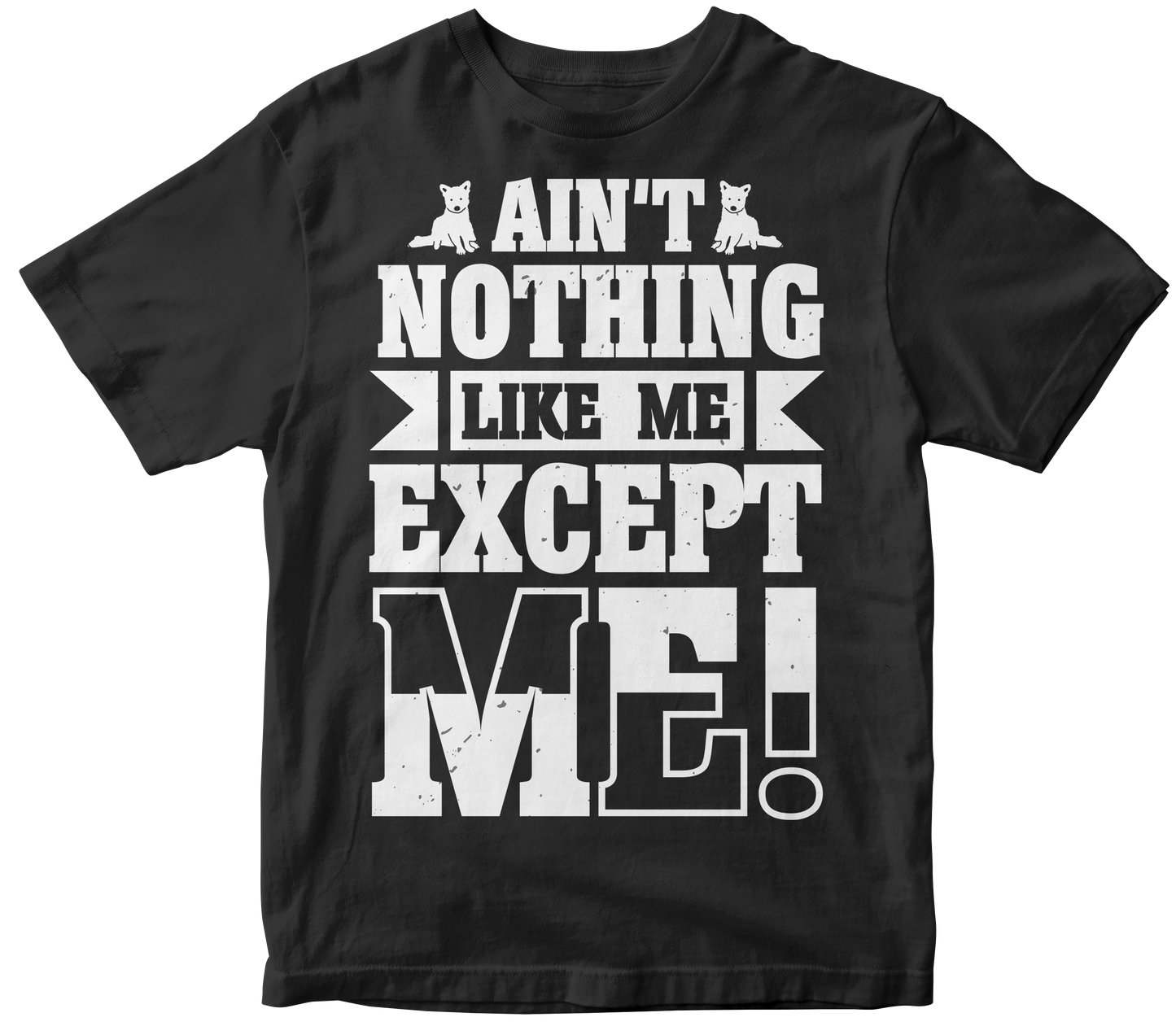 Aint nothing like me except me!