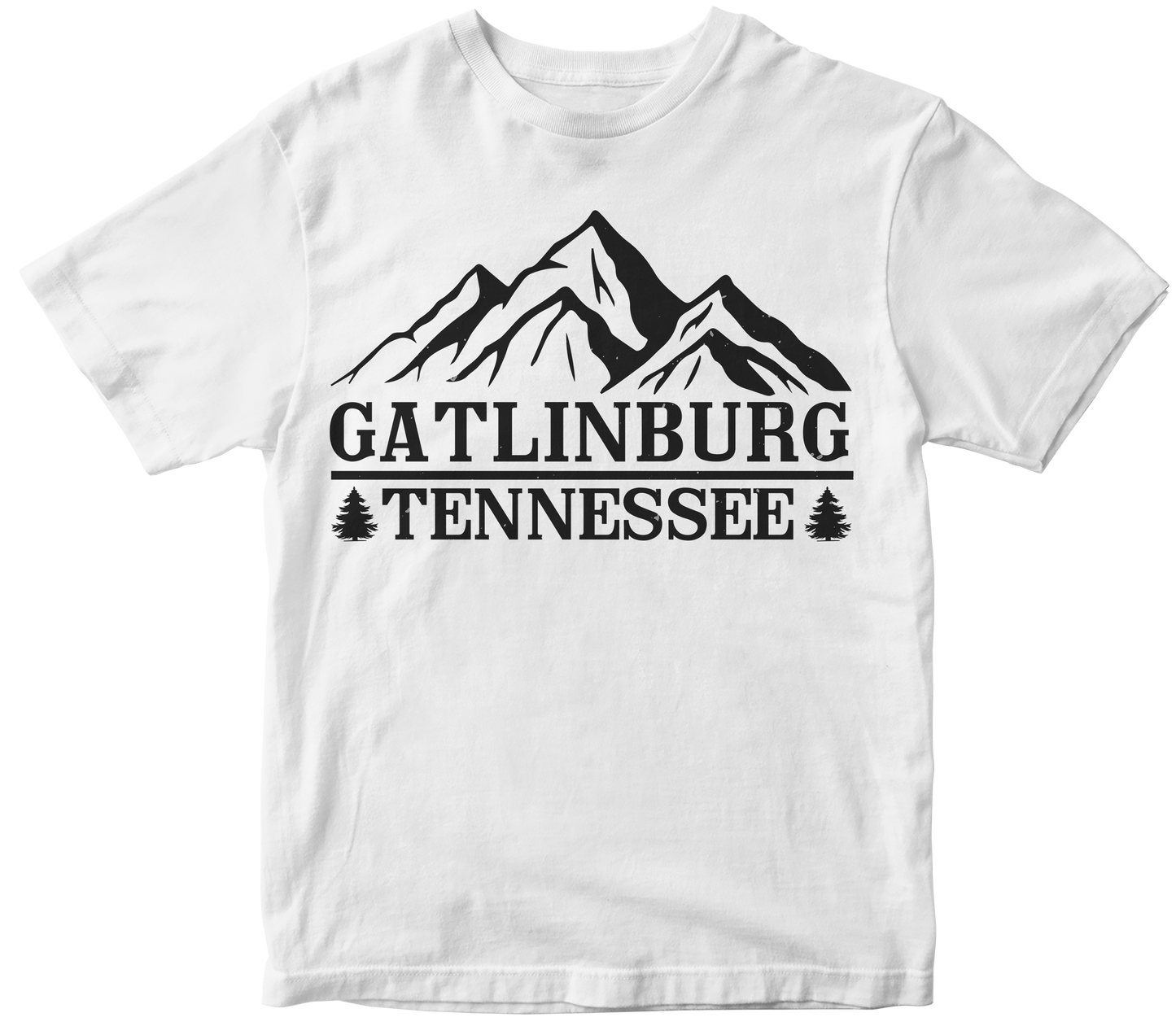 Gatlinbury tennessee
