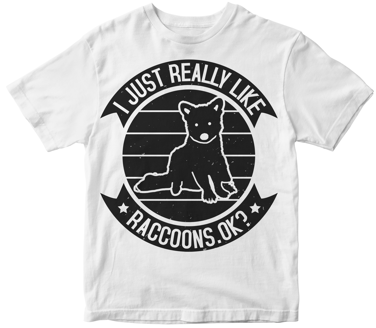 I just really like raccoons