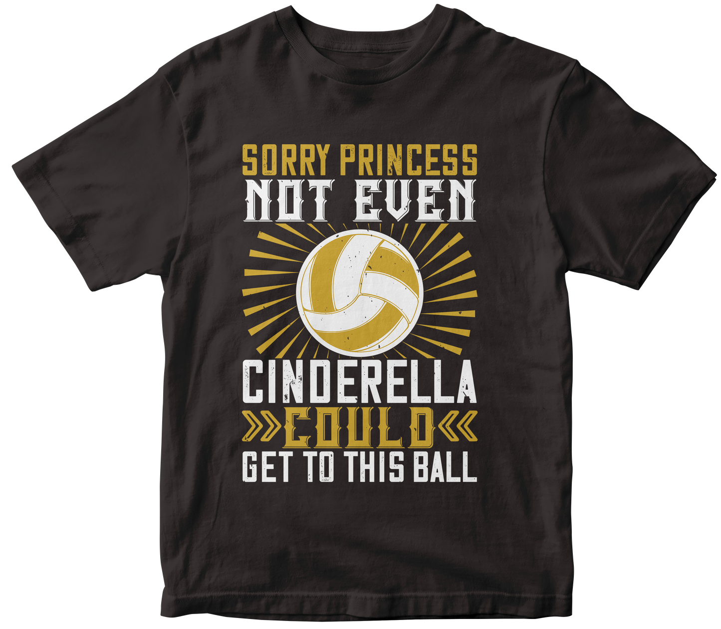SORRY PRINCESS NOT EVEN CINDERELLA COULD GET TO THIS BALL