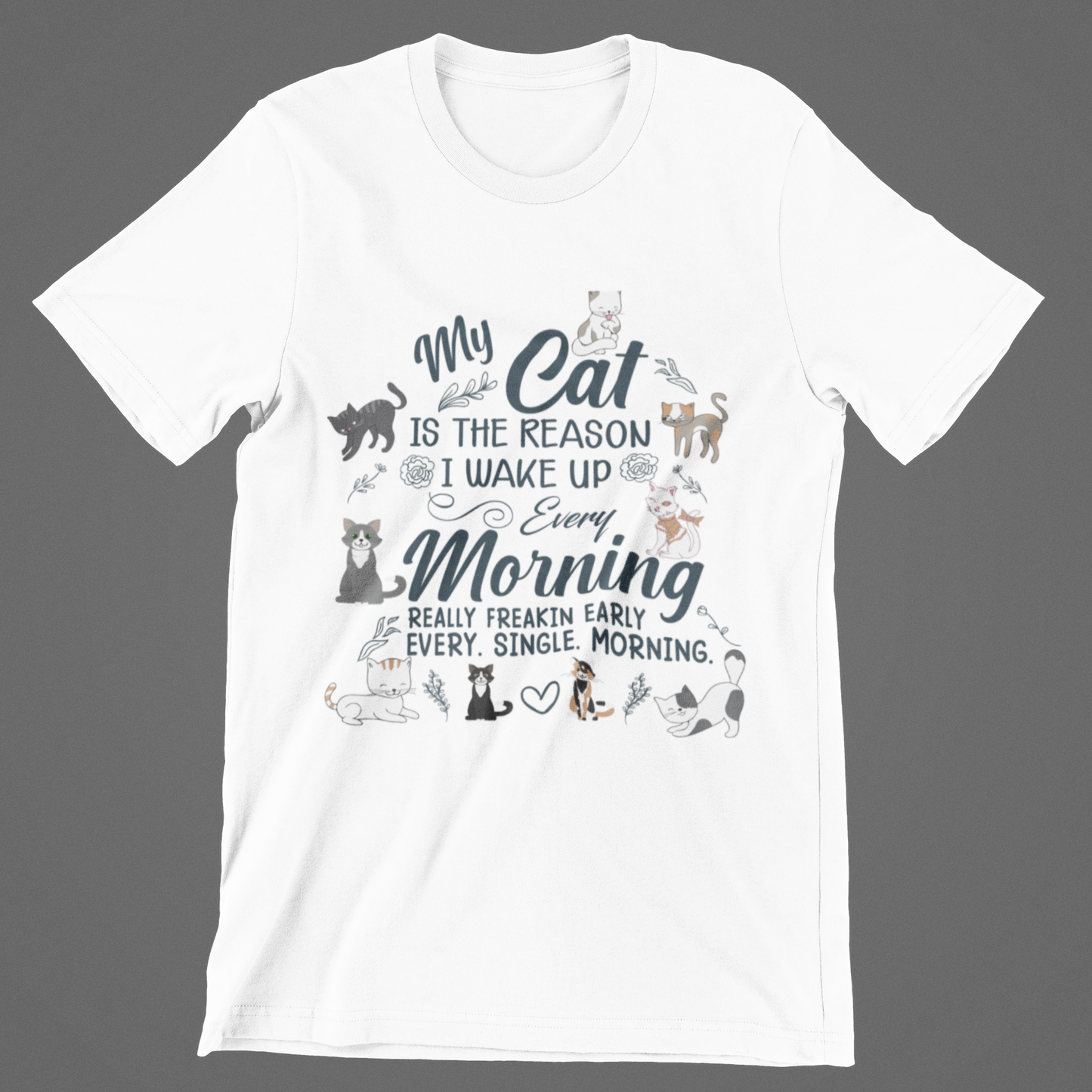CATS