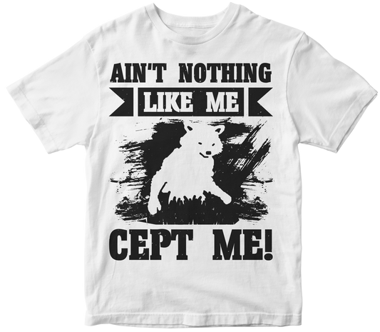 Aint nothing like me cept me!
