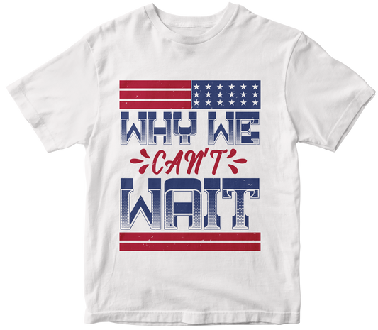Why we can t wait